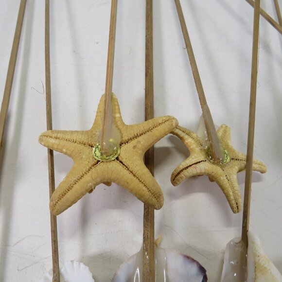 REAL seashells on wooden picks for flower arrangements 10-12" long - Picture 4 of 8